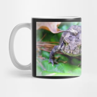 Toads, Nature Lover Gifts Photography Art Design Funny Toad Mug